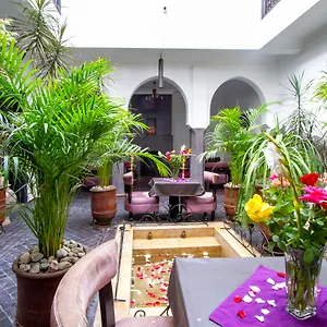 Amiran & Marrakesh