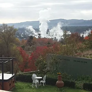 住宿加早餐酒店 Geyser Lookout